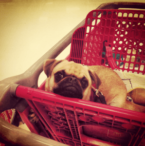 Screen Shot 2013-09-17 at 1.29.27 PM