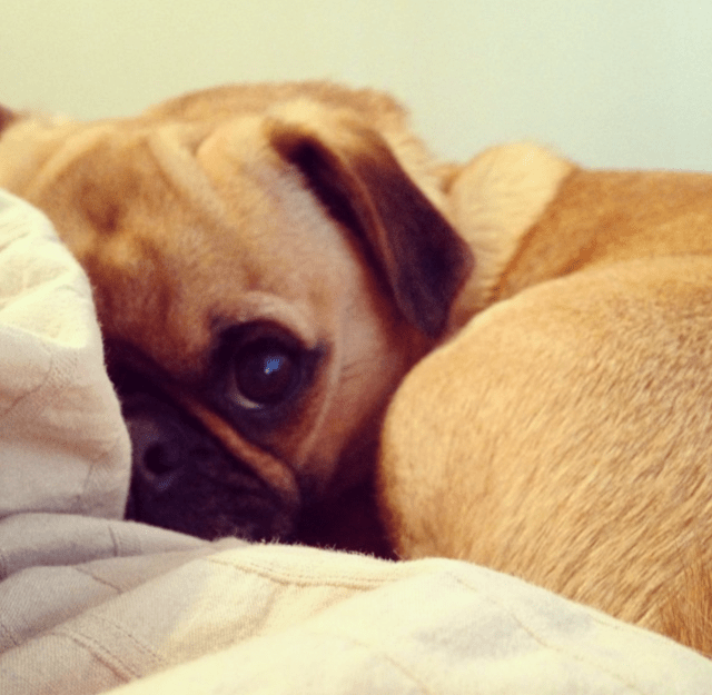 Screen Shot 2015-05-12 at 6.15.27 PM